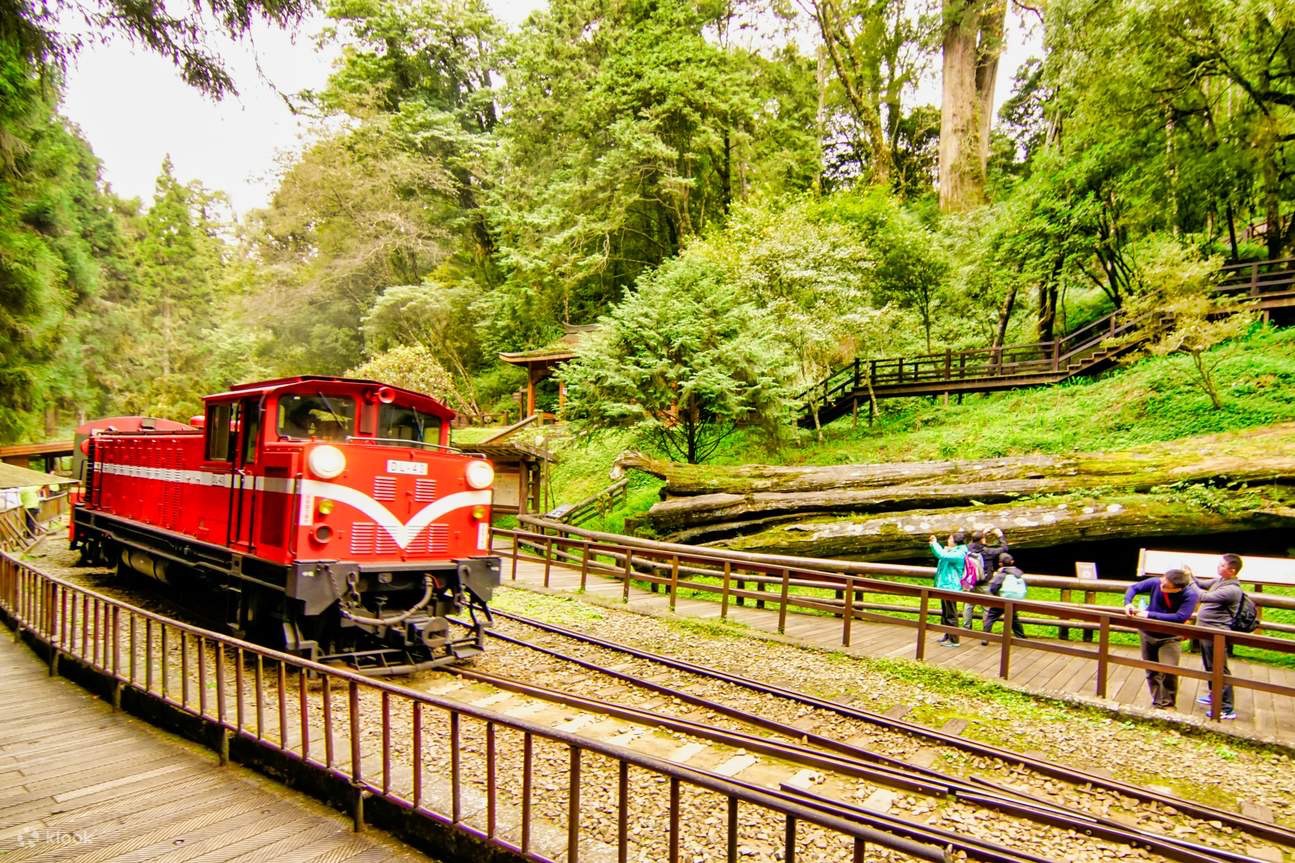 阿里山二日套票